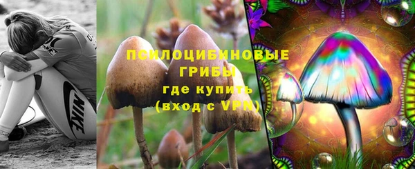 мяу мяу мука Ельня