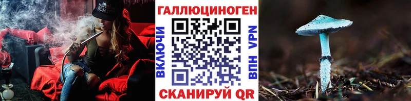 Купить где  Пучеж  Псилоцибиновые грибы Cubensis 